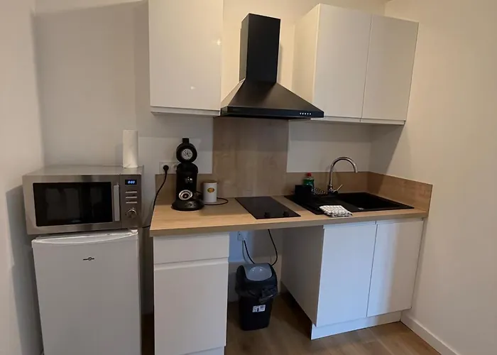 Cozy, Quiet & Comfortable Apartment Mazamet